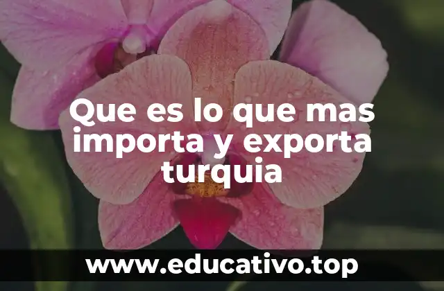 Que es lo que mas importa y exporta turquia
