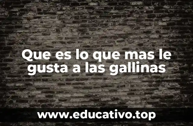 Que es lo que mas le gusta a las gallinas