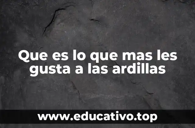 Que es lo que mas les gusta a las ardillas