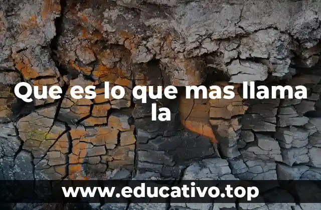 Que es lo que mas llama la