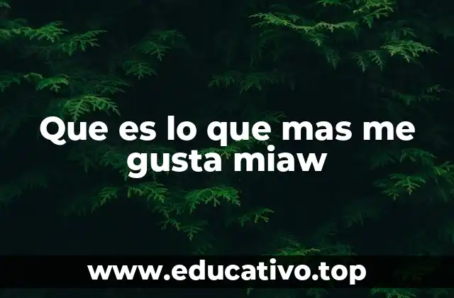 Que es lo que mas me gusta miaw