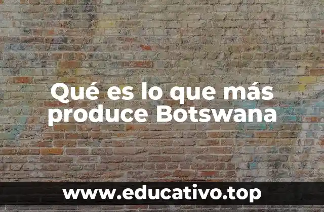 Qué es lo que más produce Botswana