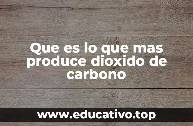 Que es lo que mas produce dioxido de carbono