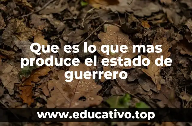 Que es lo que mas produce el estado de guerrero