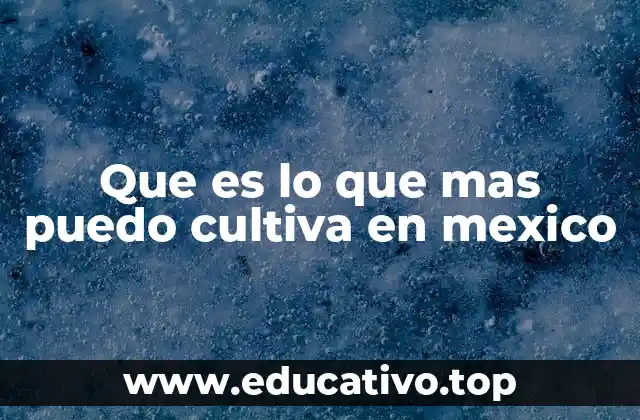 Que es lo que mas puedo cultiva en mexico