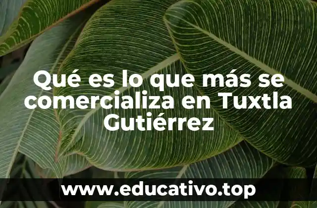 Qué es lo que más se comercializa en Tuxtla Gutiérrez