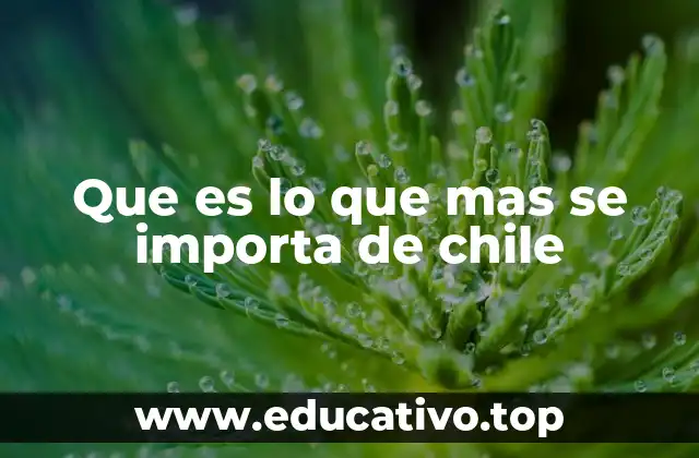 Que es lo que mas se importa de chile