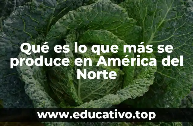 Qué es lo que más se produce en América del Norte