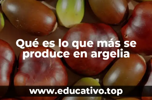 Qué es lo que más se produce en argelia