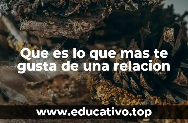 Que es lo que mas te gusta de una relacion