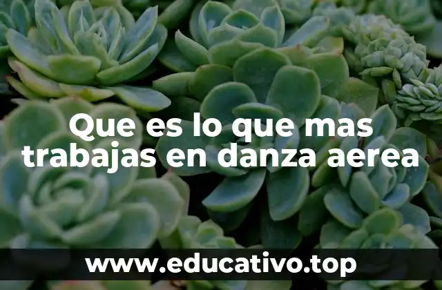 Que es lo que mas trabajas en danza aerea