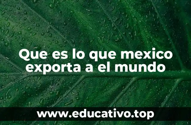 Que es lo que mexico exporta a el mundo