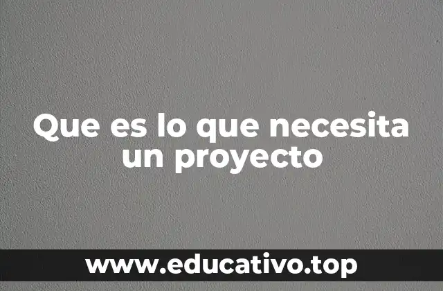 Que es lo que necesita un proyecto