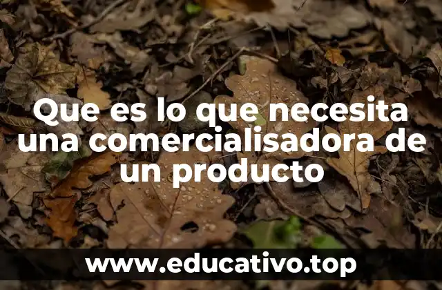 Que es lo que necesita una comercialisadora de un producto