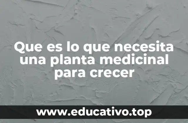 Que es lo que necesita una planta medicinal para crecer