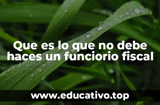 Que es lo que no debe haces un funciorio fiscal