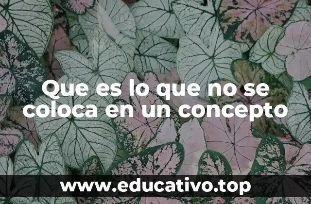 Que es lo que no se coloca en un concepto
