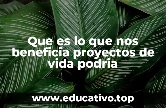 Que es lo que nos beneficia proyectos de vida podria