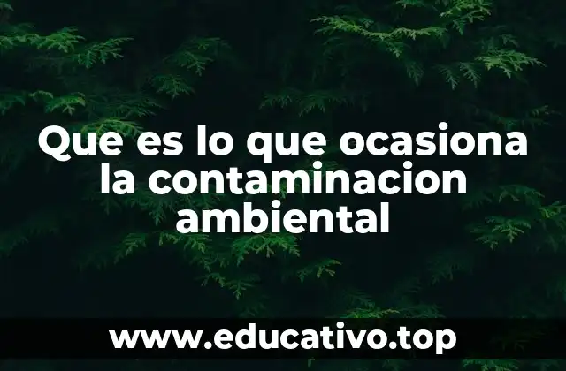 Que es lo que ocasiona la contaminacion ambiental