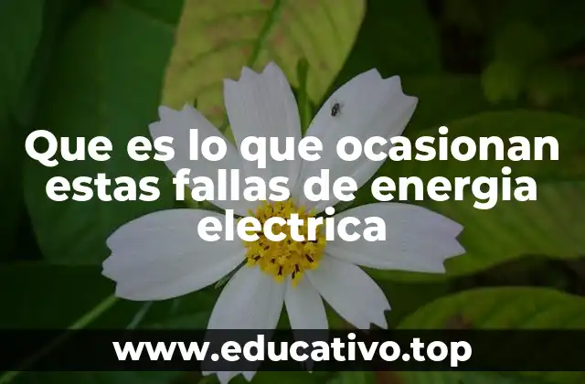 Que es lo que ocasionan estas fallas de energia electrica