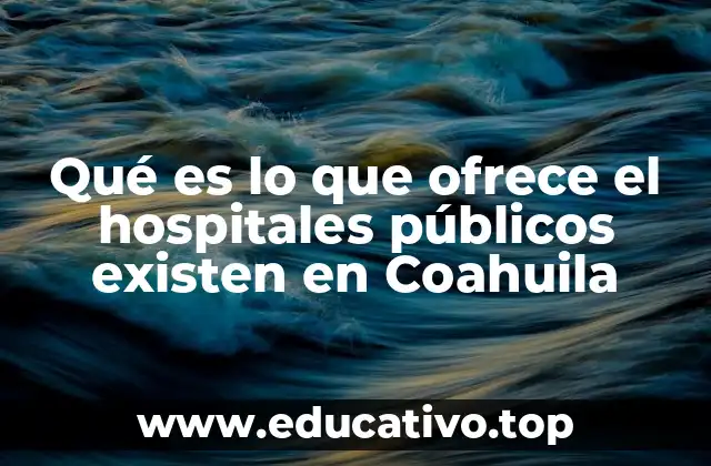 Qué es lo que ofrece el hospitales públicos existen en Coahuila