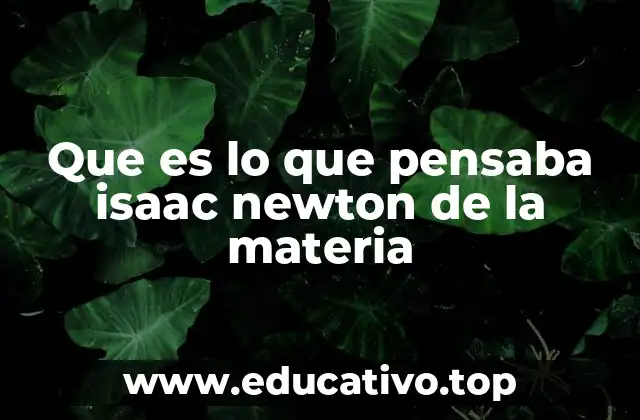 El enfoque newtoniano de la física y su relación con la materia