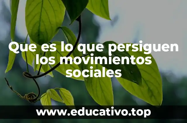 Que es lo que persiguen los movimientos sociales