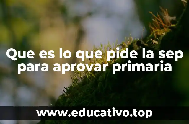 Que es lo que pide la sep para aprovar primaria
