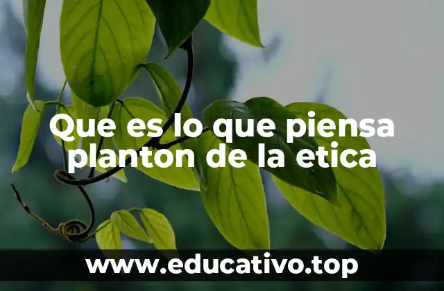 Que es lo que piensa planton de la etica