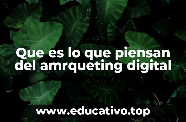 Que es lo que piensan del amrqueting digital