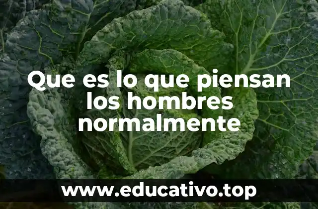 Que es lo que piensan los hombres normalmente
