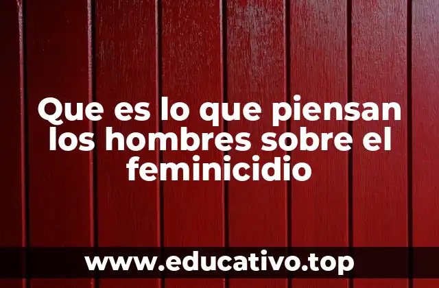 Las actitudes de los hombres frente a la violencia de género
