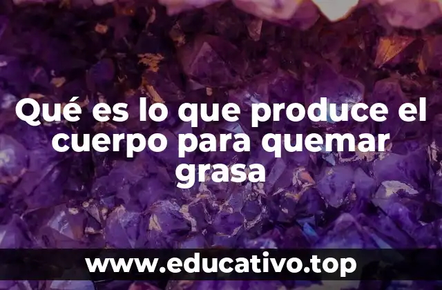 Qué es lo que produce el cuerpo para quemar grasa
