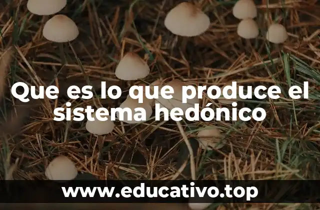Que es lo que produce el sistema hedónico