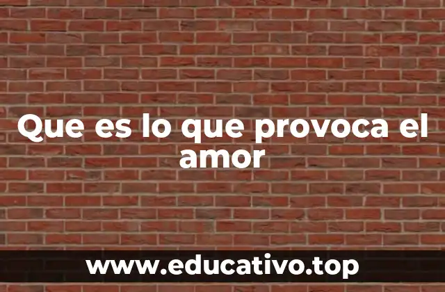 Que es lo que provoca el amor