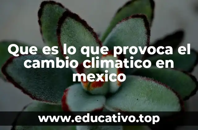 Que es lo que provoca el cambio climatico en mexico
