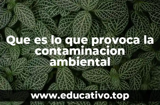 Que es lo que provoca la contaminacion ambiental
