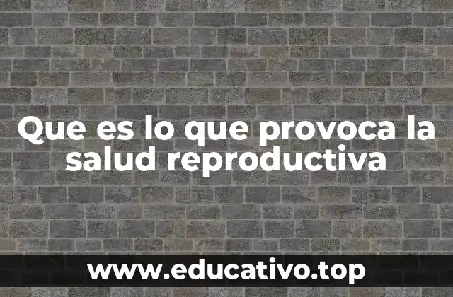 Factores que influyen en el bienestar reproductivo