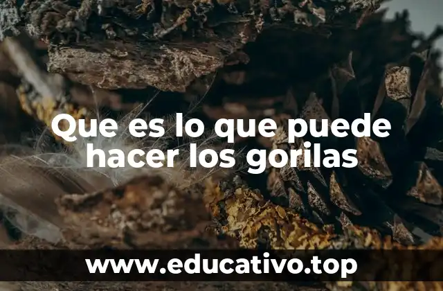 La inteligencia animal en acción: El caso de los gorilas