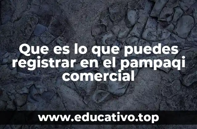 Que es lo que puedes registrar en el pampaqi comercial