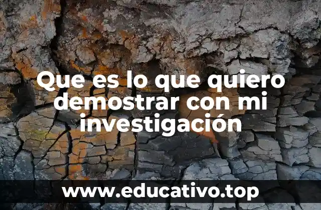 Que es lo que quiero demostrar con mi investigación