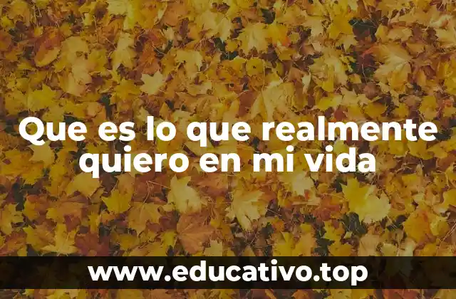 Que es lo que realmente quiero en mi vida