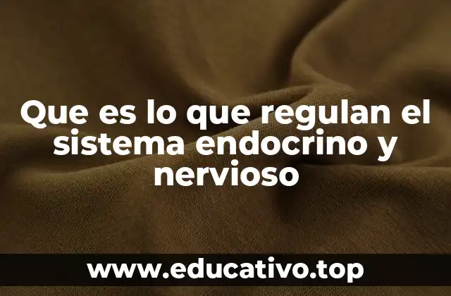 Que es lo que regulan el sistema endocrino y nervioso