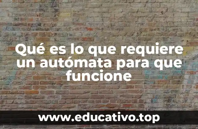 Qué es lo que requiere un autómata para que funcione