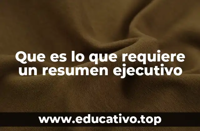 Que es lo que requiere un resumen ejecutivo