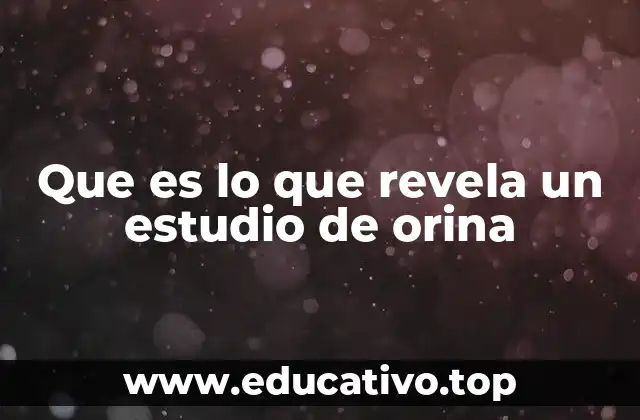Que es lo que revela un estudio de orina