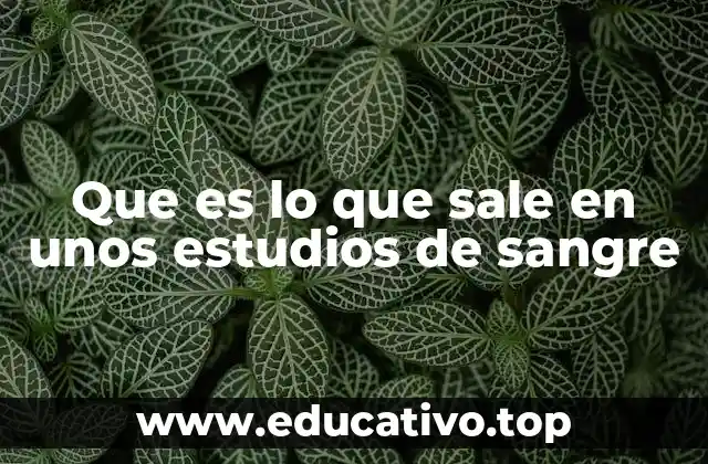 Que es lo que sale en unos estudios de sangre