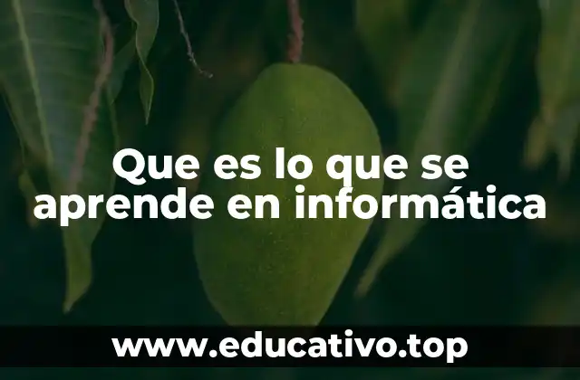 Que es lo que se aprende en informática