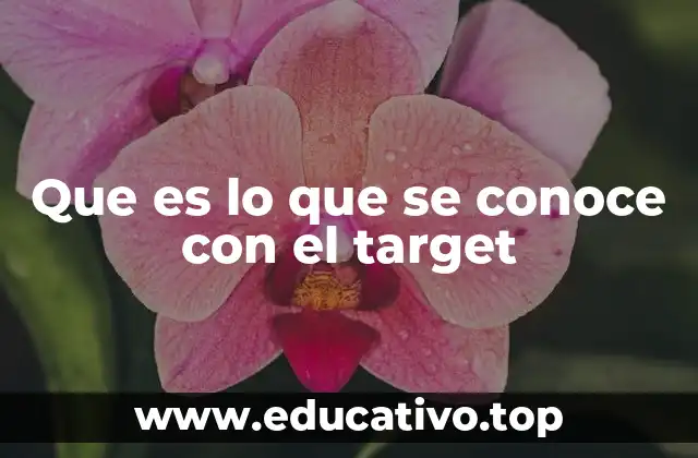 Que es lo que se conoce con el target