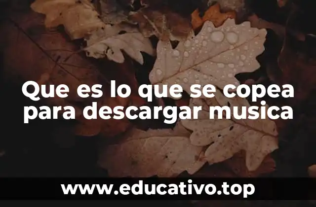 Que es lo que se copea para descargar musica